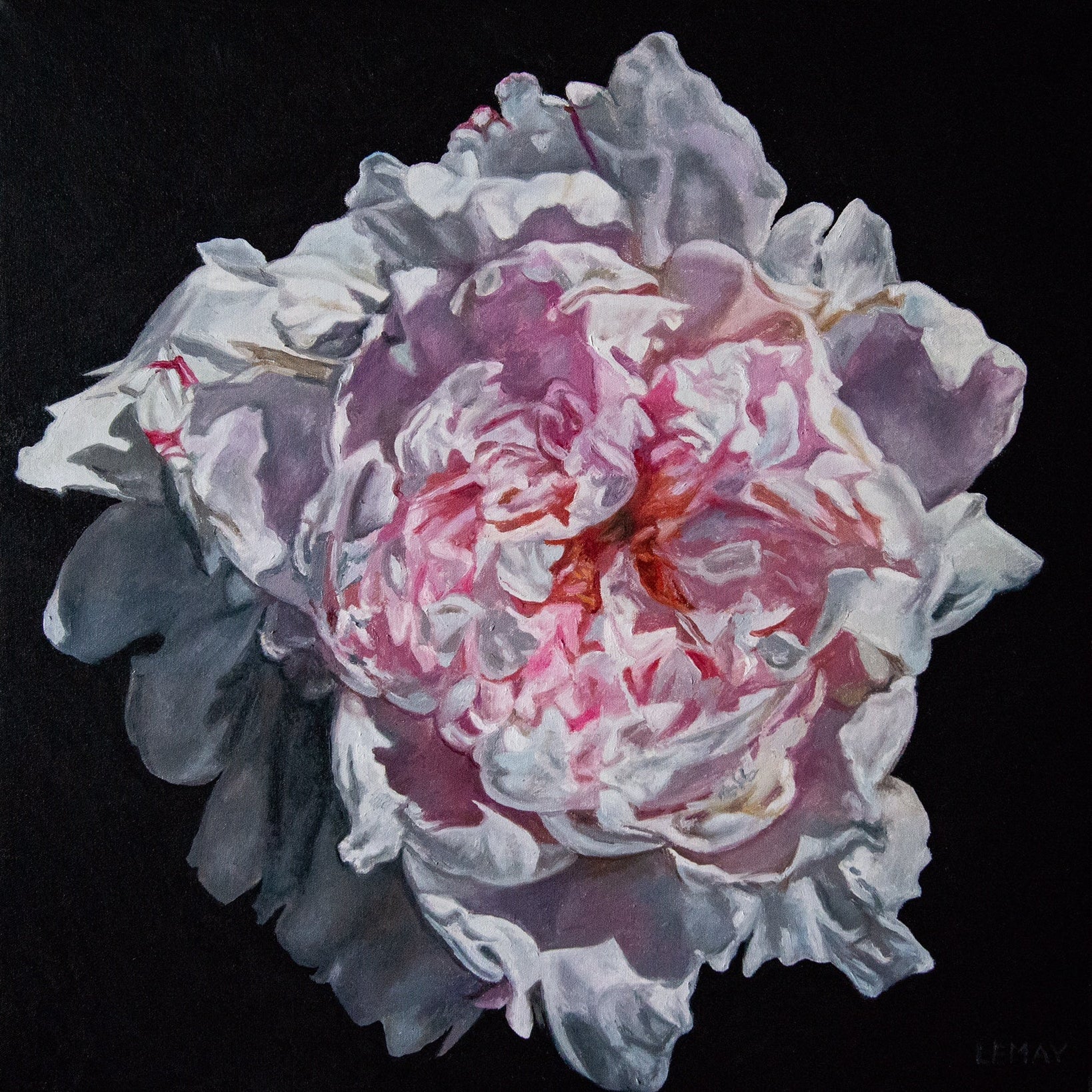 Peony Portrait 2 — Gallery Merrick